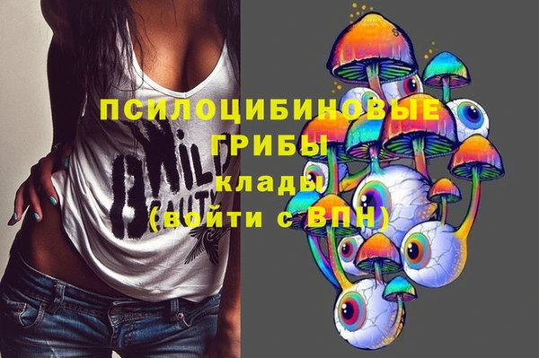 ешки Балахна