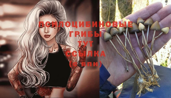 MDMA Premium VHQ Белокуриха