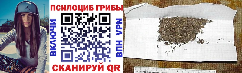 Псилоцибиновые грибы Psilocybe Нижняя Тура